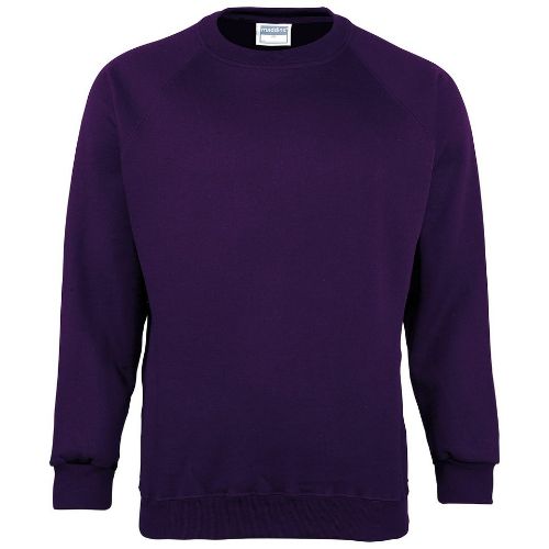 Maddins Kids Coloursure Sweatshirt Purple