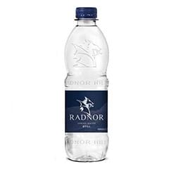 Radnor Hills Bottled Water 500ml (Pack 24)